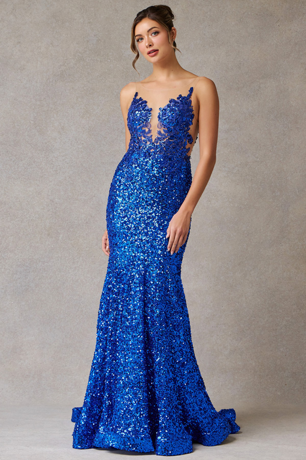 Sleeveless Illusion Neckline Mermaid Sequin Dress 